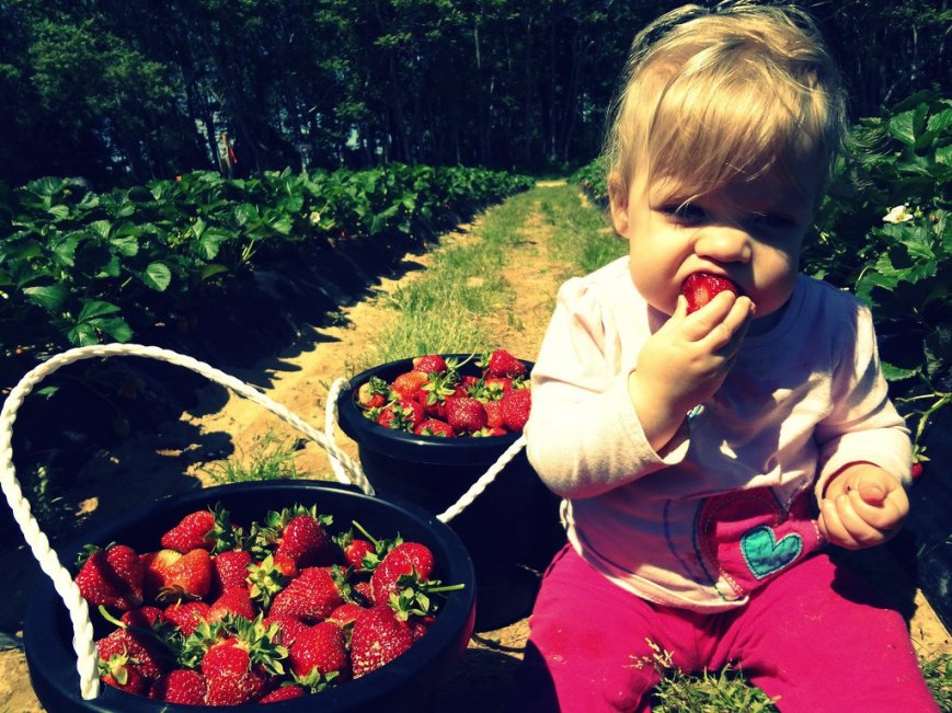 220906_118760081539094_100002153079874_156073_809755_o