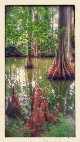 20150810_102959-EFFECTS